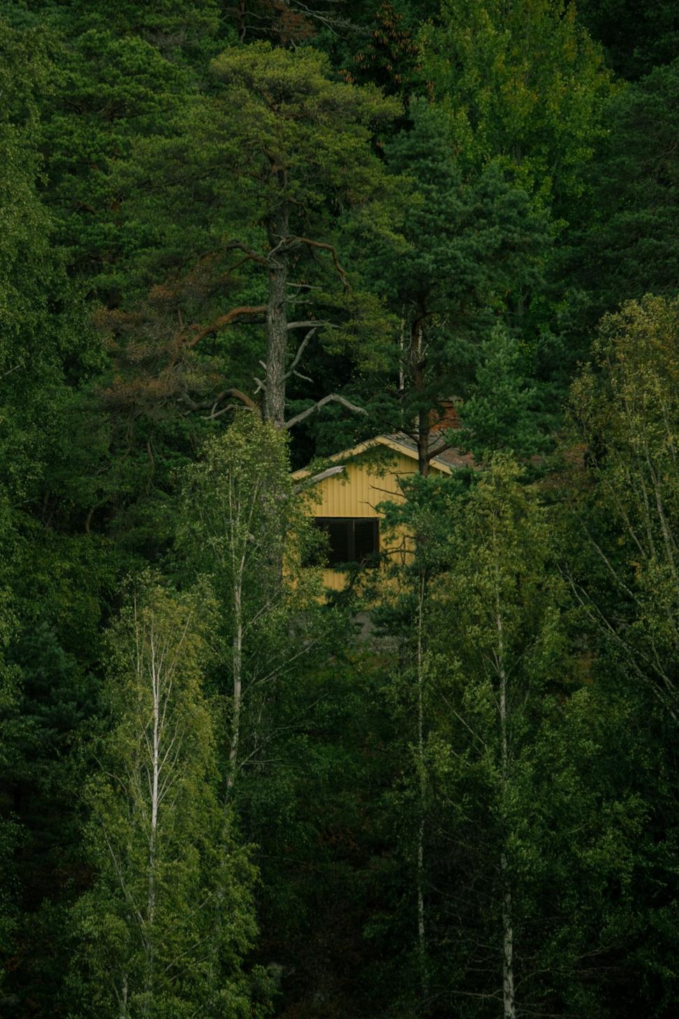 Muskoka Lake Residence